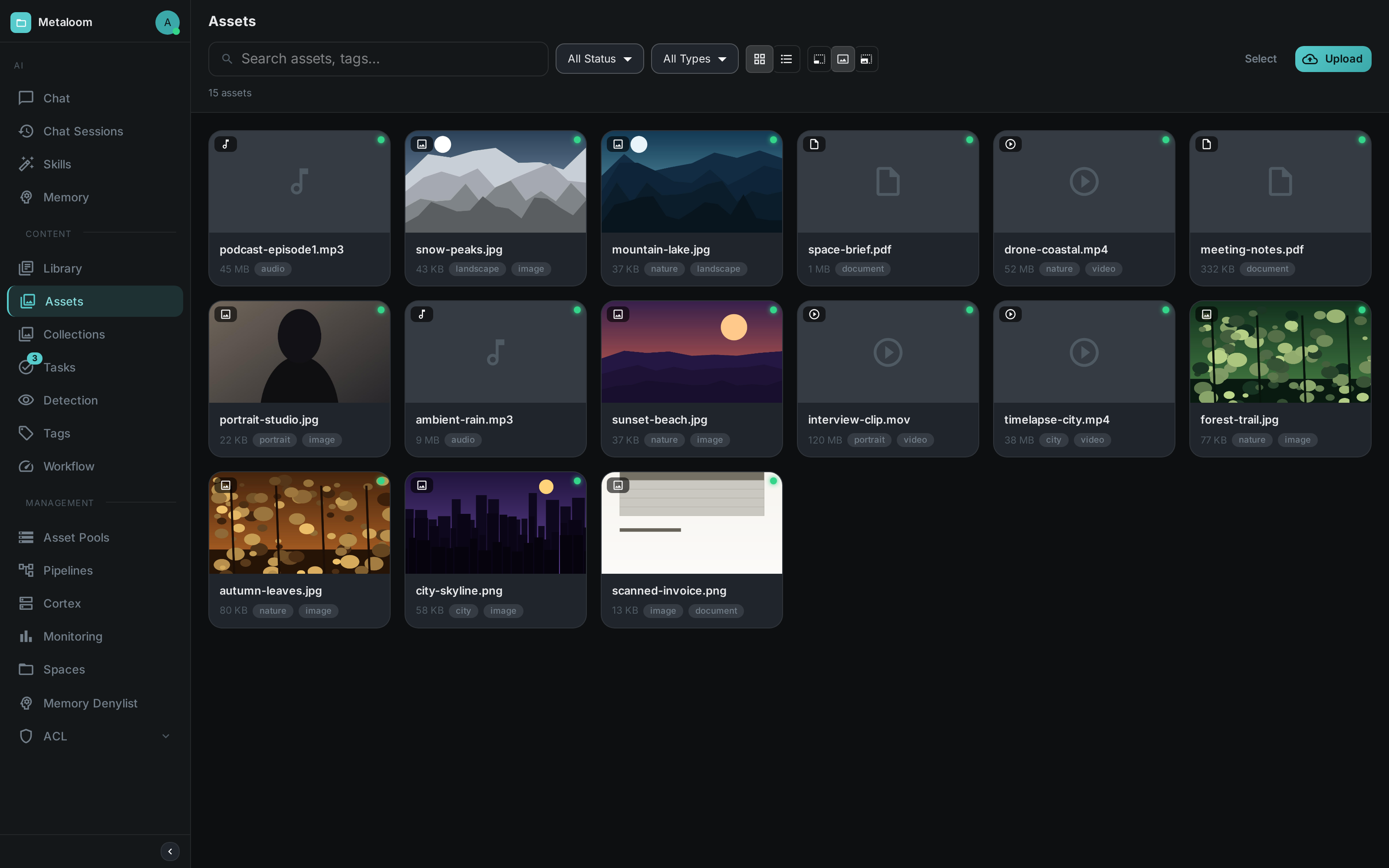 The Loom UI asset browser