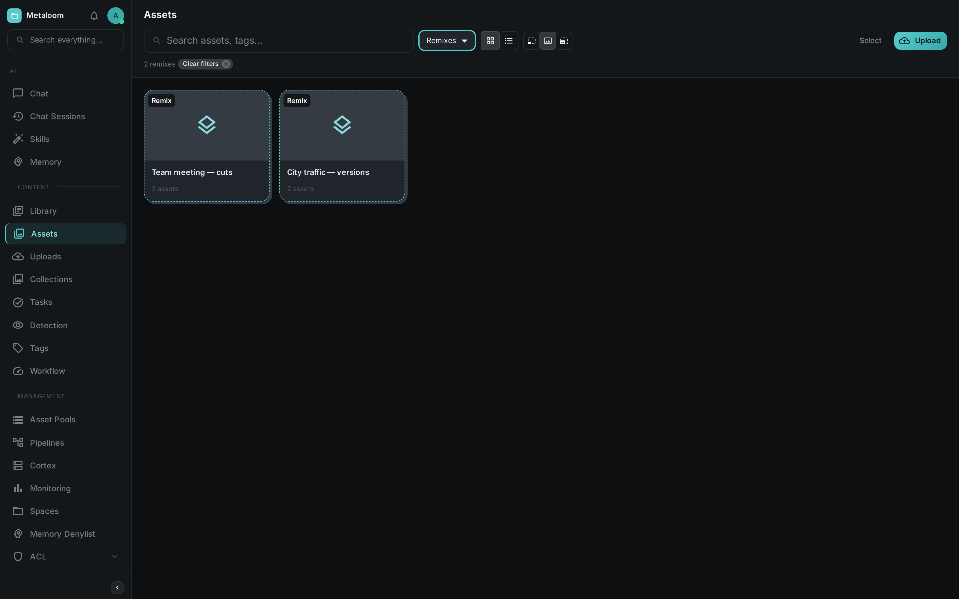 The asset browser with the type filter set to Remixes
