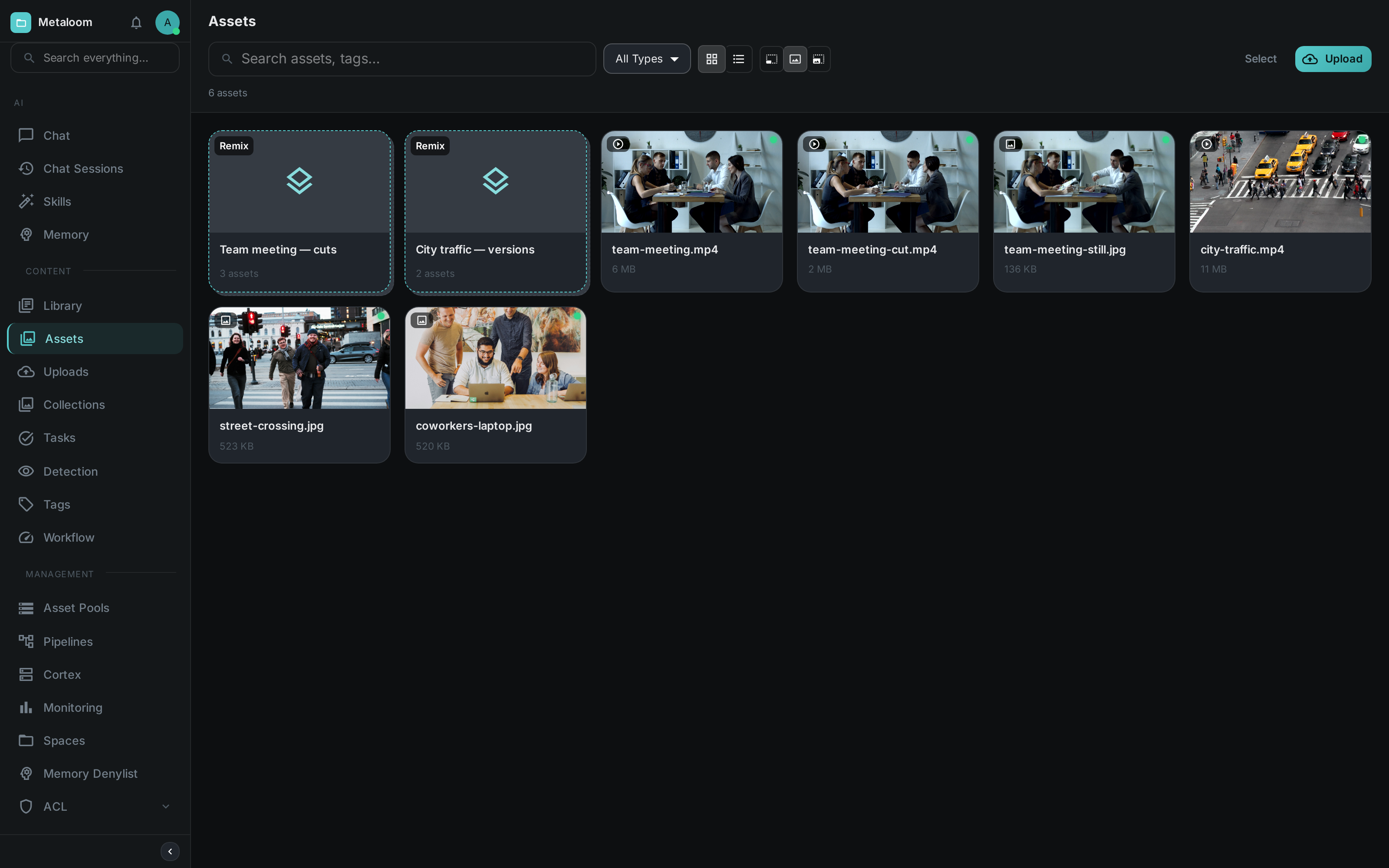 The asset browser