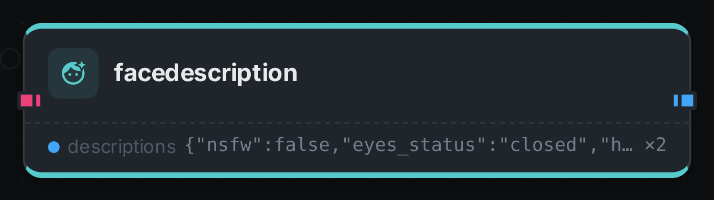 The facedescription node after a run