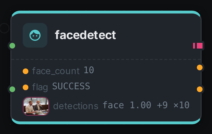 The facedetect node after a run
