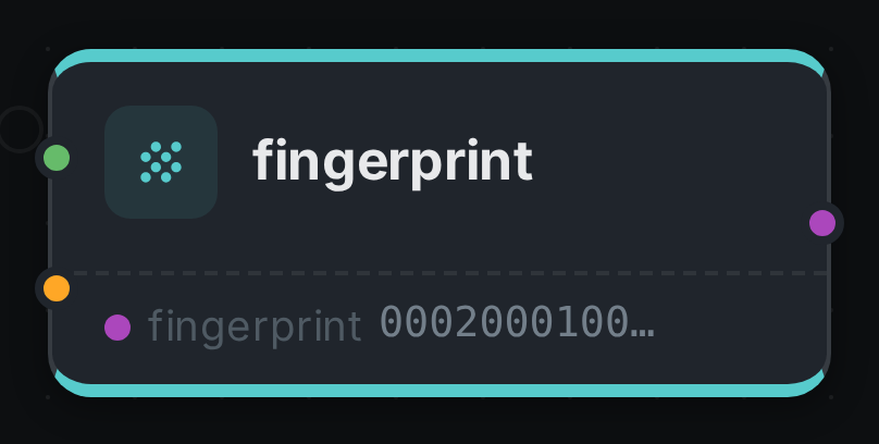 The fingerprint node after a run