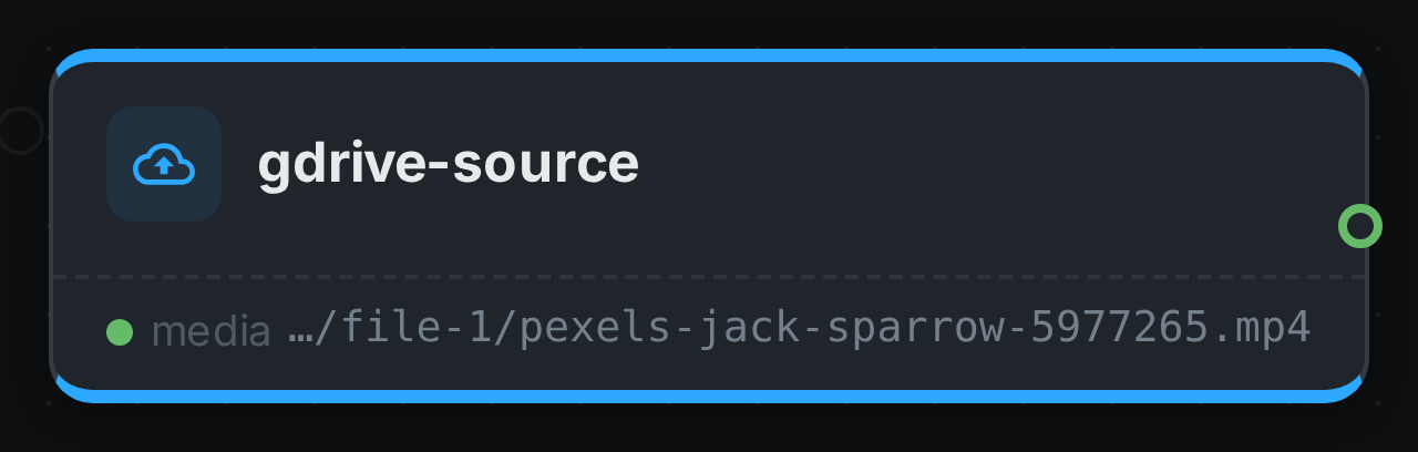 The gdrive-source node after a run