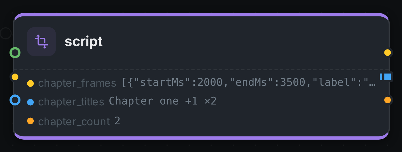 The script node after a run
