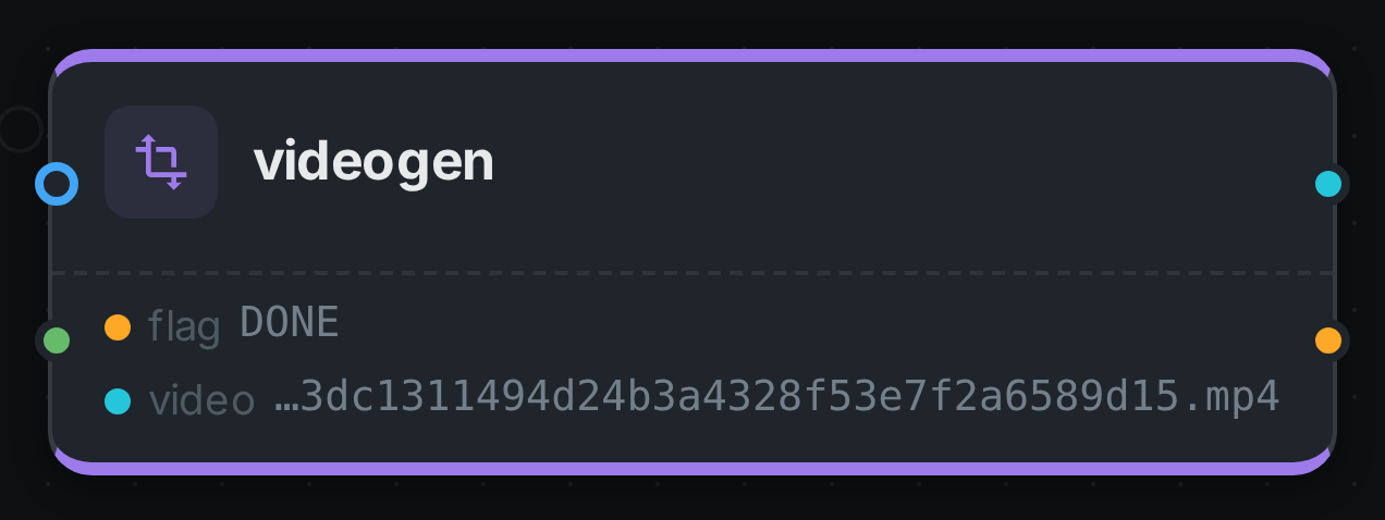 The videogen node after a run