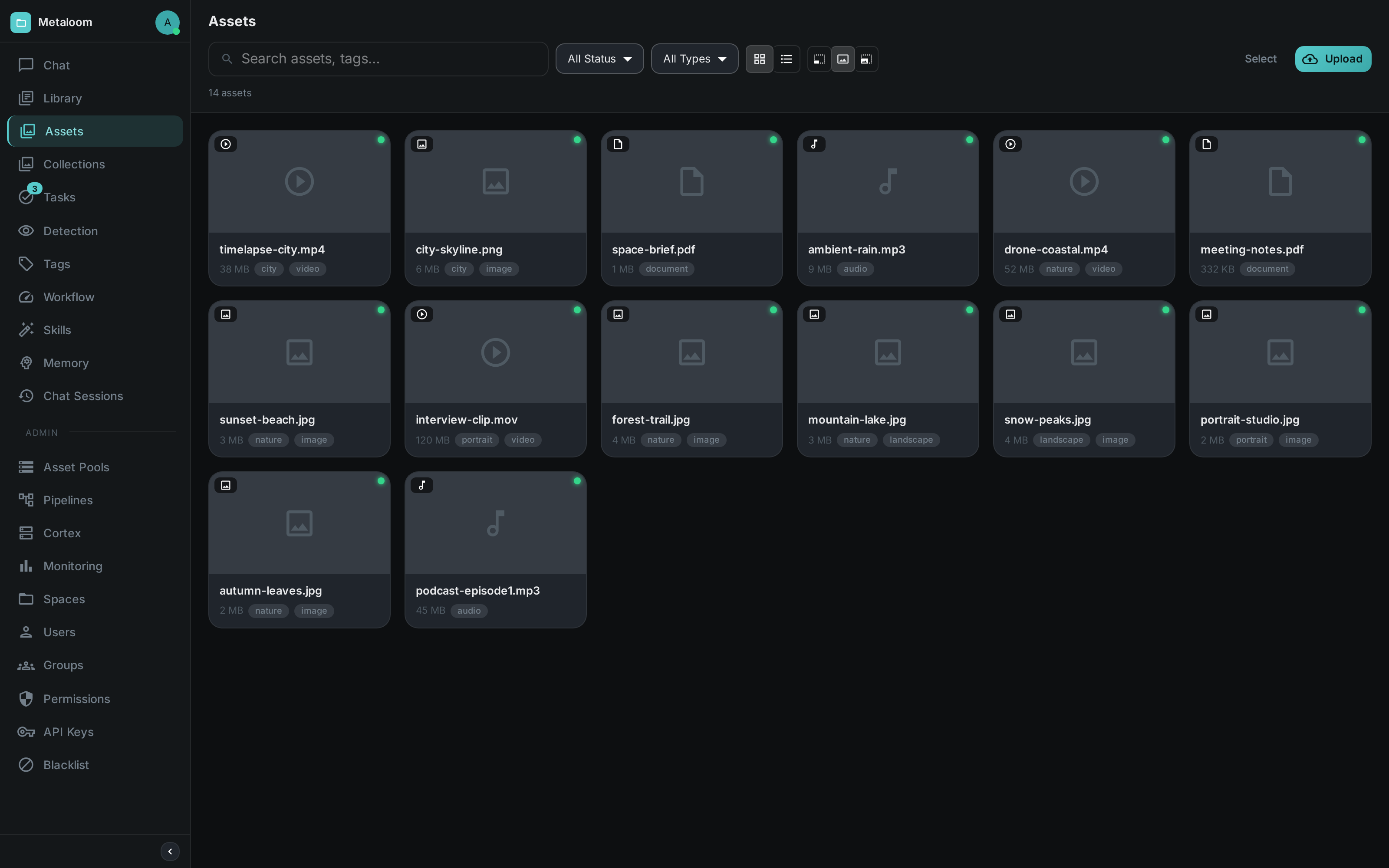 Asset browser